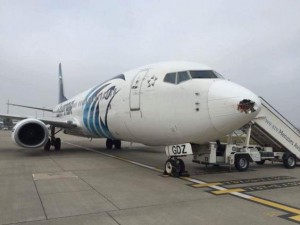 egyptair-bird-strike-damage-heathrow-2