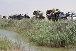 Military vehicles for Iraqi security forces and Shi'ite fighters are seen near Falluja