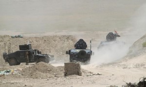 Vehicles of the Iraqi security forces are seen on the outskirts of Falluja