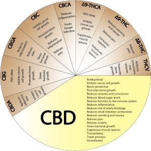 cannabis-wheel