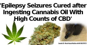 seizures-cured-cannabis-oil-hemp