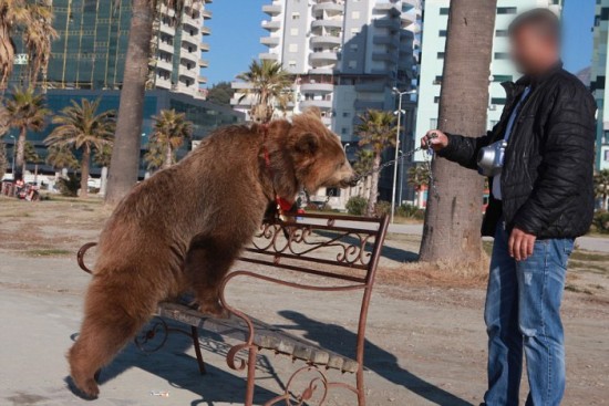 Albania, Durres | 2015 12 20 | Photo Bear Jeta on the beach in Durres, Albania.