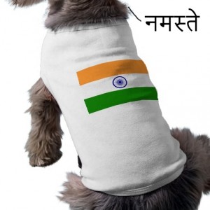 indian-dog