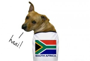 south-america-dog