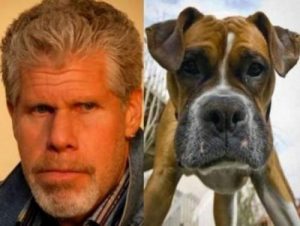 RonPerlman