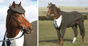 three-piece-tweed-horse-suit-emma-sandham-king-fb__700-png