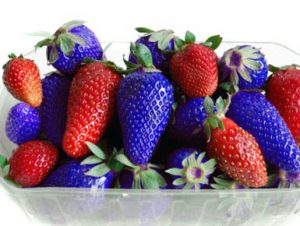 bunch of red and blue strawberries (color manipulation)