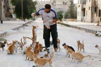 cat-man-aleppo-syria-11_1489857589-7864542