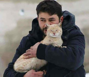 cat-man-aleppo-syria-12_1489857589-2156052