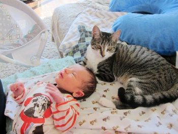 couple-forgot-to-tell-their-cat-theyd-just-had-a-baby3