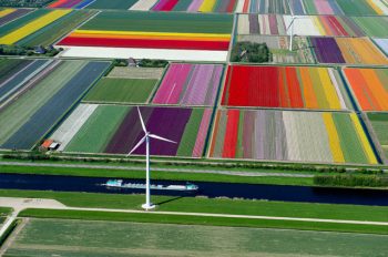 flower-fields-aerial-photography-netherlands-normann-szkop-53