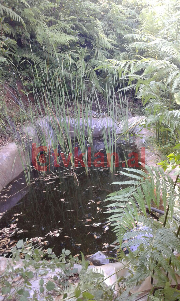 Foto/ Digjet mali pranë Tiranës për të hapur parcela droge