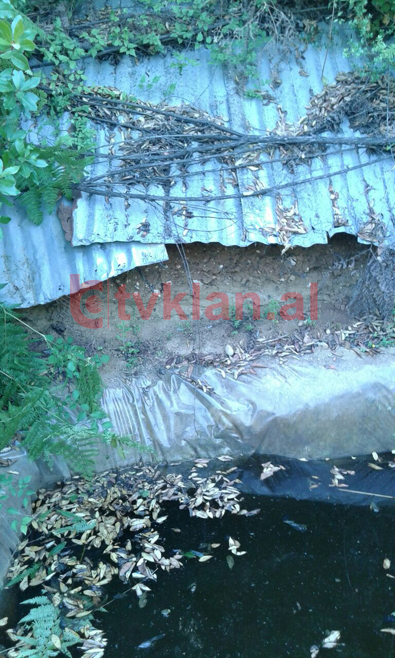 Foto/ Digjet mali pranë Tiranës për të hapur parcela droge