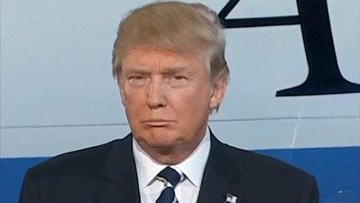Disa fakte që nuk i dini për Donald Trump