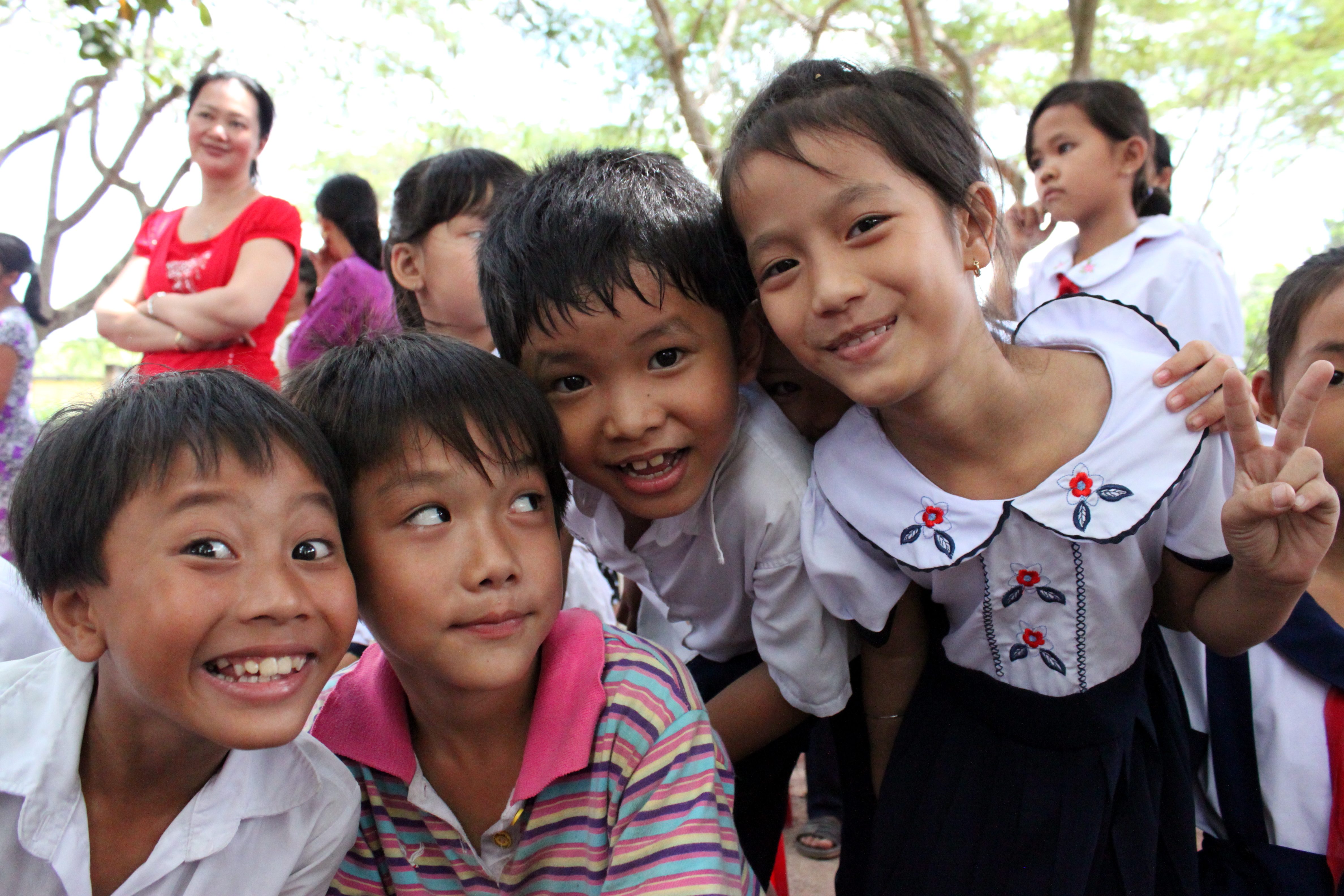 Vietnam school. Вьетнам школа. Minh hoa Vietnam School.