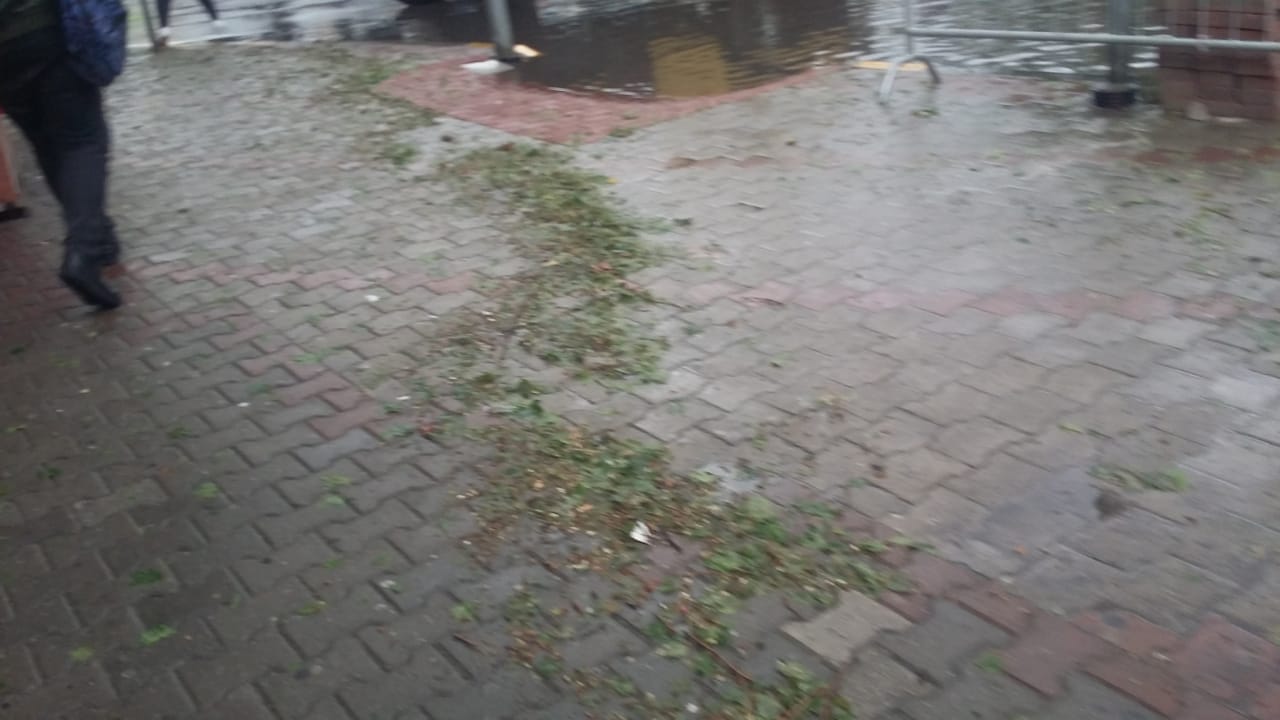Foto-Video/ Don Bosko si Venecia