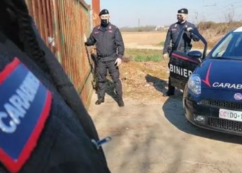 I kërkuar nga Interpoli për trafikim droge, arrestohet 22-vjeçari shqiptar në Itali  
