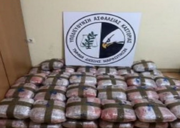 Kapet me 51 kg kanabis, arrestohet 23-vjeçari shqiptar në kufirin greko-shqiptar
