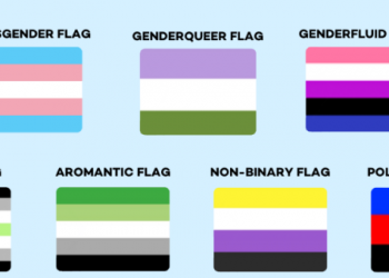 Terma që përshkruajnë identitetin dhe shprehjen gjinore