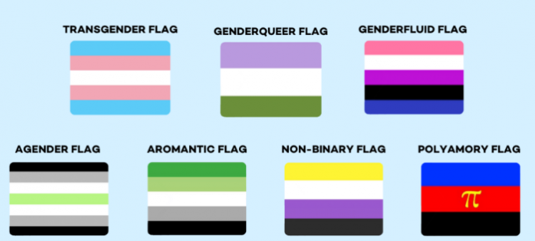 Terma që përshkruajnë identitetin dhe shprehjen gjinore