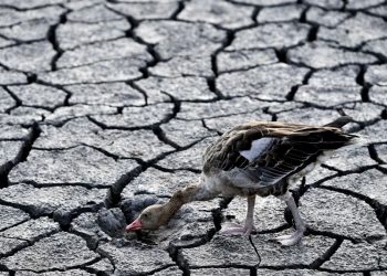 Mungesa e borës në Evropë, paralajmërim për thatësirë ekstreme