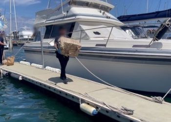 E lidhur me kartelet meksikane, kapet 2.4 ton kokainë në bordin e një anijeje në…