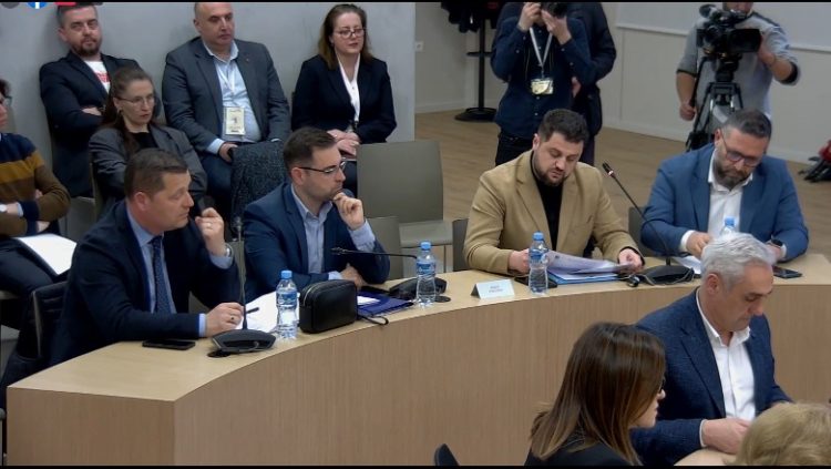 Sefa shpjegon ligjin, arsyeja pse Basha rezulton si kryetar i PD pasi ka dhënë dorëheqjen