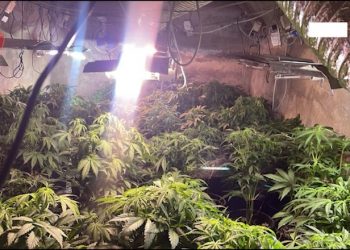 Kthyen tunelin e ushtrisë në ‘shtëpi bari’, 5 të arrestuar, 2 prej tyre punonjës të OSHEE