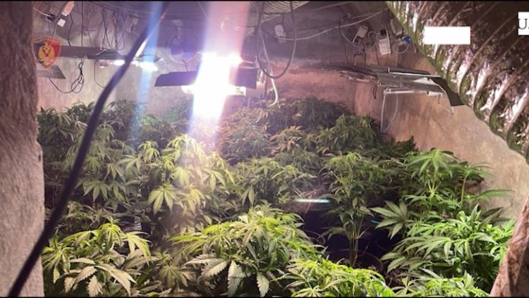 Kthyen tunelin e ushtrisë në ‘shtëpi bari’, 5 të arrestuar, 2 prej tyre punonjës të OSHEE