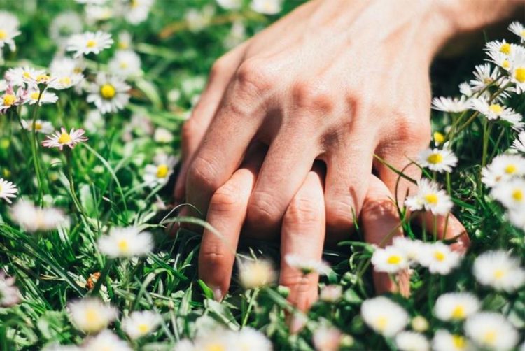 Pse në pranverë dashurojmë më shumë? Çfarë thotë shkenca