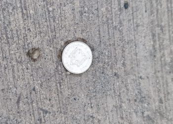 Ngjarja te Top Channel, eksperti: Kjo ishte e vetmja monedhë që ra nga xhepi i të ndjerit