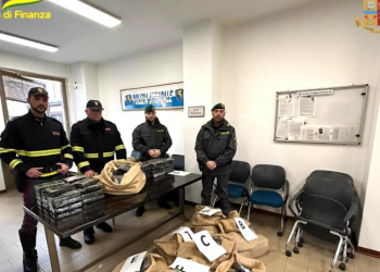 Arrestohet 37-vjeçari shqiptar në Itali, po transportonte me furgon 220 kg kokainë