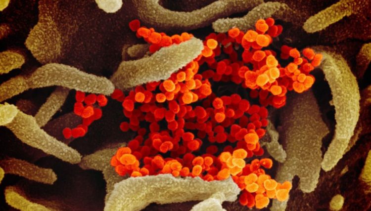 Koronavirusi merr një tjetër jetë në Shqipëri