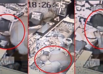 U arrestua nga SPAK, Lefter Alla u lakua në media për videon duke thithur kokainë