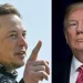 Elon Musk: Nëse arrestohet, Trump fiton zgjedhjet