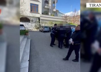 I dënuar në Gjermani për shpërndarje të materialeve pornografike, i riu kapet në Tiranë