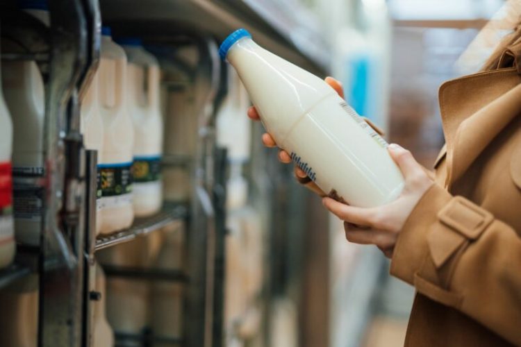 Rënia e industrisë së qumështit, tregu po zëvendësohet nga importet
