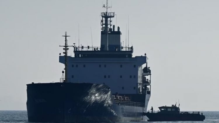 A munden drithërat ukrainase të lehtësojnë krizën globale ushqimore?