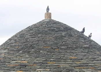 Rama: Në festën e Sulltan Novruzit uroj që pranvera të çelë në zemrat tuaja