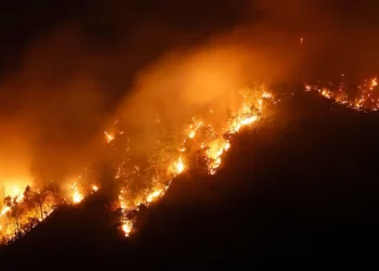 Ra zjarr nga stuhia e rrufesë, Tajlanda prej ditësh në përpjekje për shuarjen e flakëve