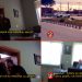 Bashkia Kuçovë jep tender për kujdesin ndaj qenve endacakë,kryebashkiaku habitet: Tender?