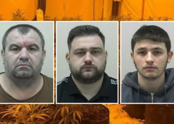 “Mbikëqyrësi” dhe “Kopshtarët”/ Në pranga 3 shqiptarë në Angli, u kapën në “shtëpi bari”