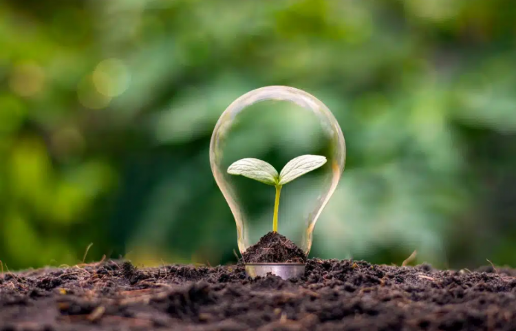 Dita e Tokës: Gjashtë mënyra për të bërë ndryshime më të gjelbra