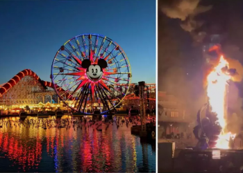 Merr flakë dragoi gjigand në Disneyland, vizitorët në panik për të shpëtuar