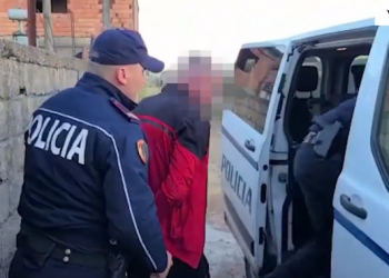 Sekuestrimi i mbi 2 mijë fidanëve kanabis, arrestohet 37-vjeçari i shpallur në kërkim