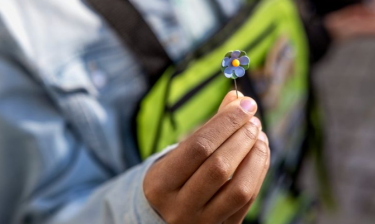 11-vjeçari në Suedi mbledh 230 mijë dollarë duke shitur spila në formë luleje