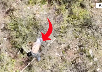 4 dronë për të vëzhguar Krujën/ Asgjësohen 224 fidanë kanabis, në kërkim një nga autorët