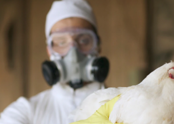 Kina alarmohet për përhapjen e një virusi të ri, humb jetën një grua e infektuar