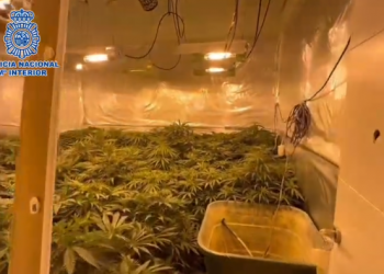 Shkatërrohet banda kriminale në Spanjë, 12 shqiptarë të arrestuar dhe 1 spanjolle