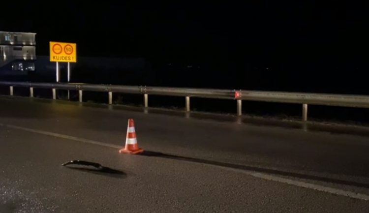 Lushnje/ Karrotreci përplas për vdekje 50-vjeçarin